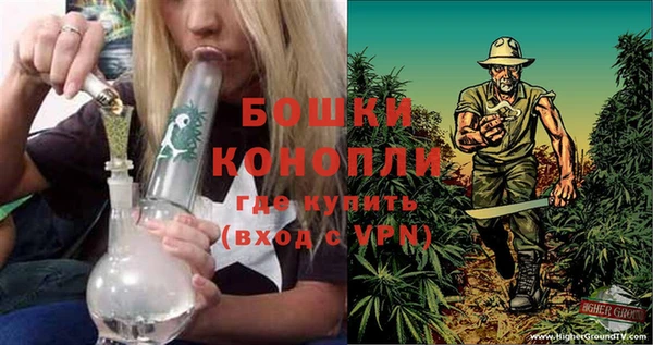 PSILOCYBIN Алексин
