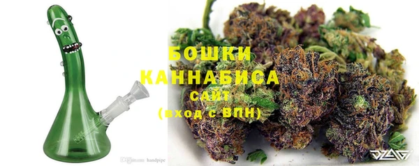 PSILOCYBIN Заволжск